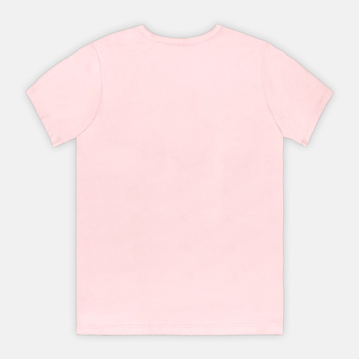 Your Opinion Wasn't in the Budget - Adult Tee
