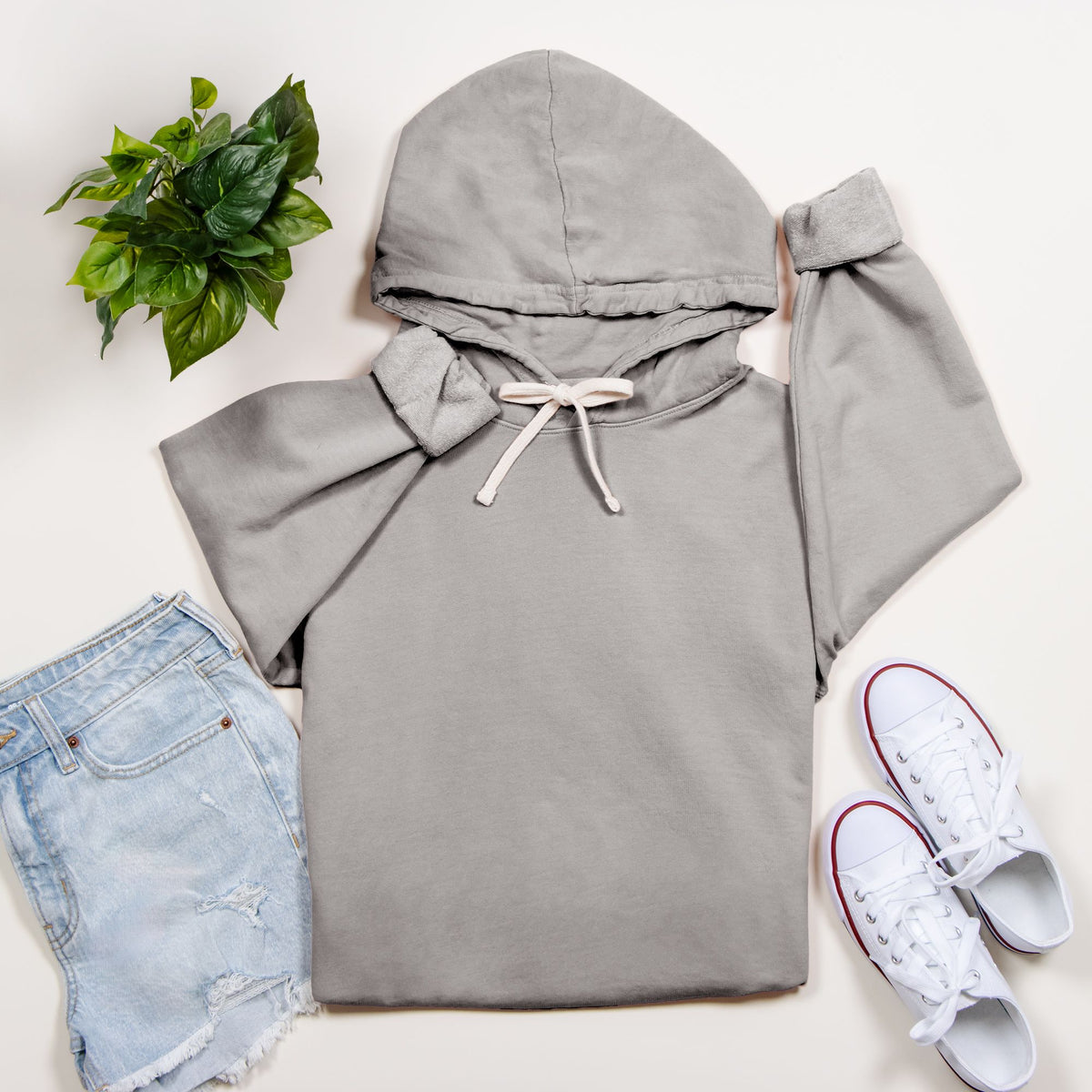 Opinion Wasn't in the Budget - Adult Lightweight Hoodie