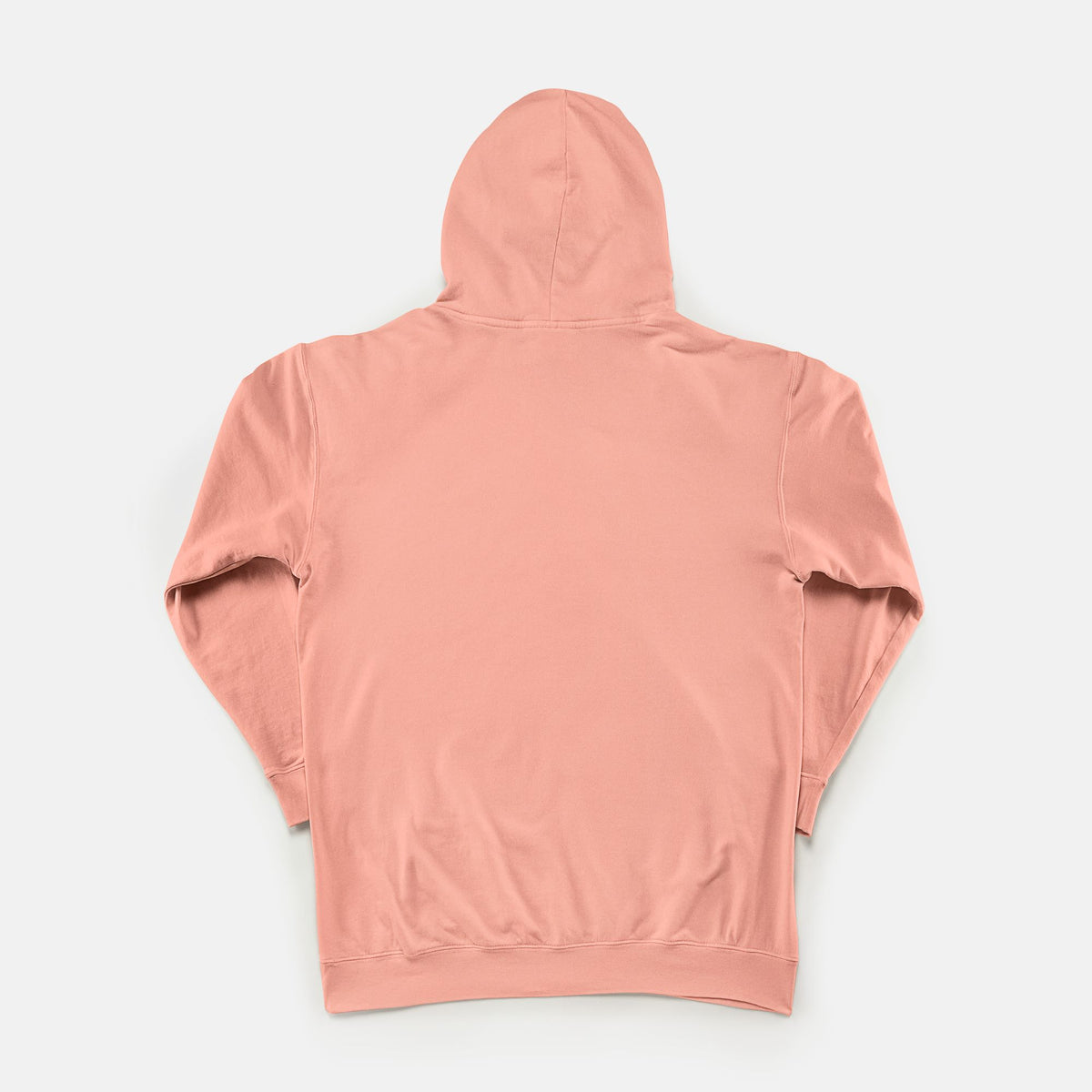 Opinion Wasn't in the Budget - Adult Lightweight Hoodie
