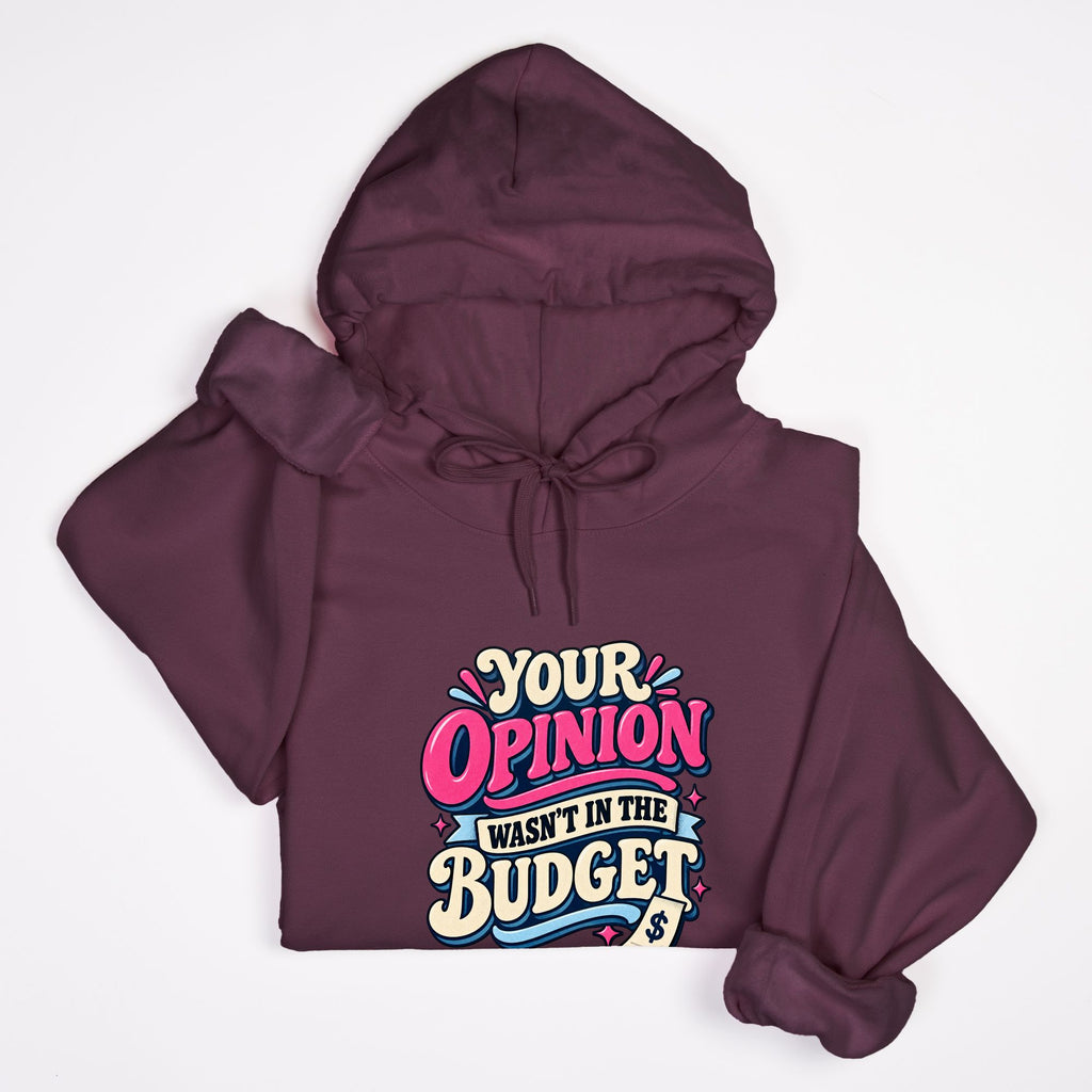 Opinion Wasn't in the Budget - Adult Hoodie
