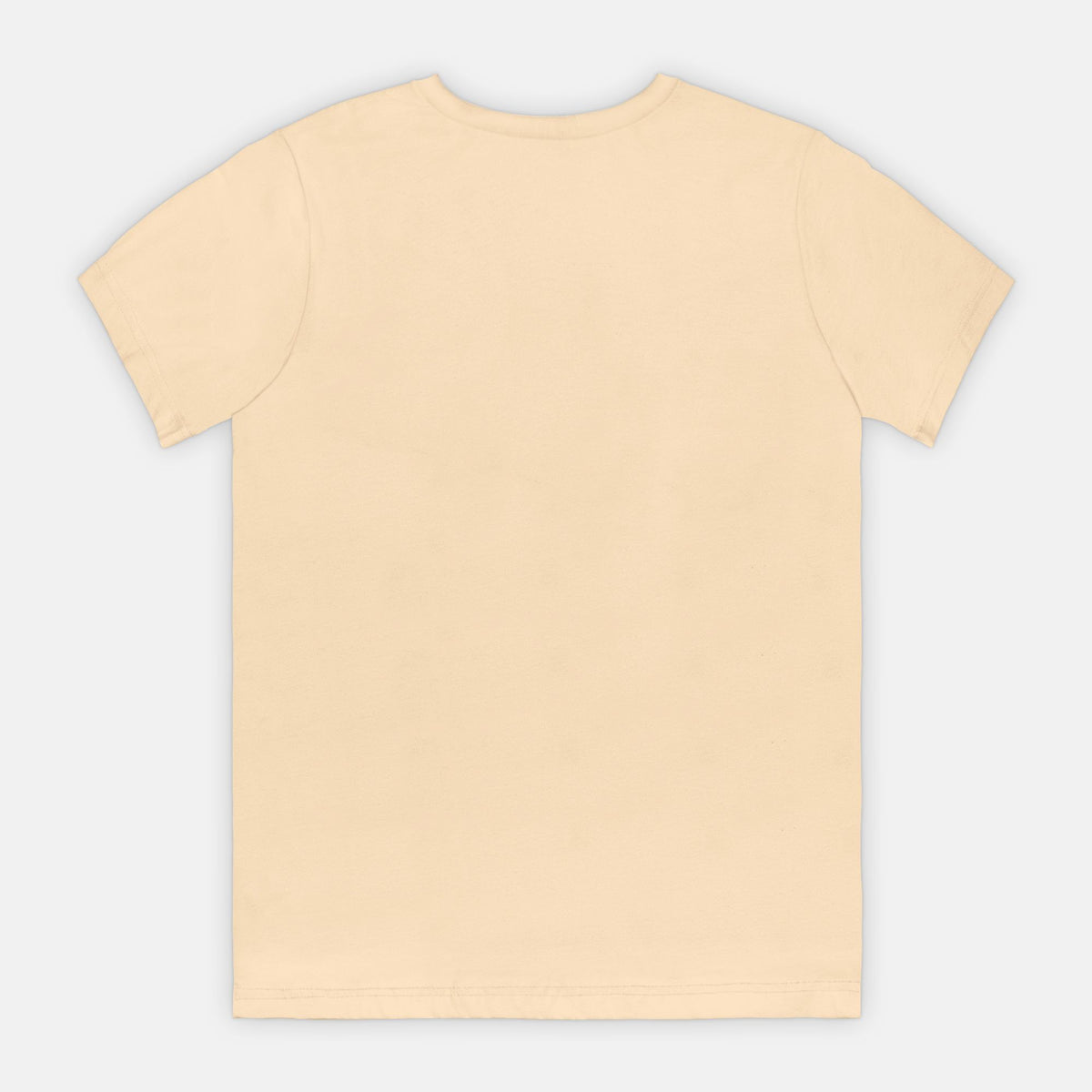 Your Opinion Wasn't in the Budget - Adult Tee