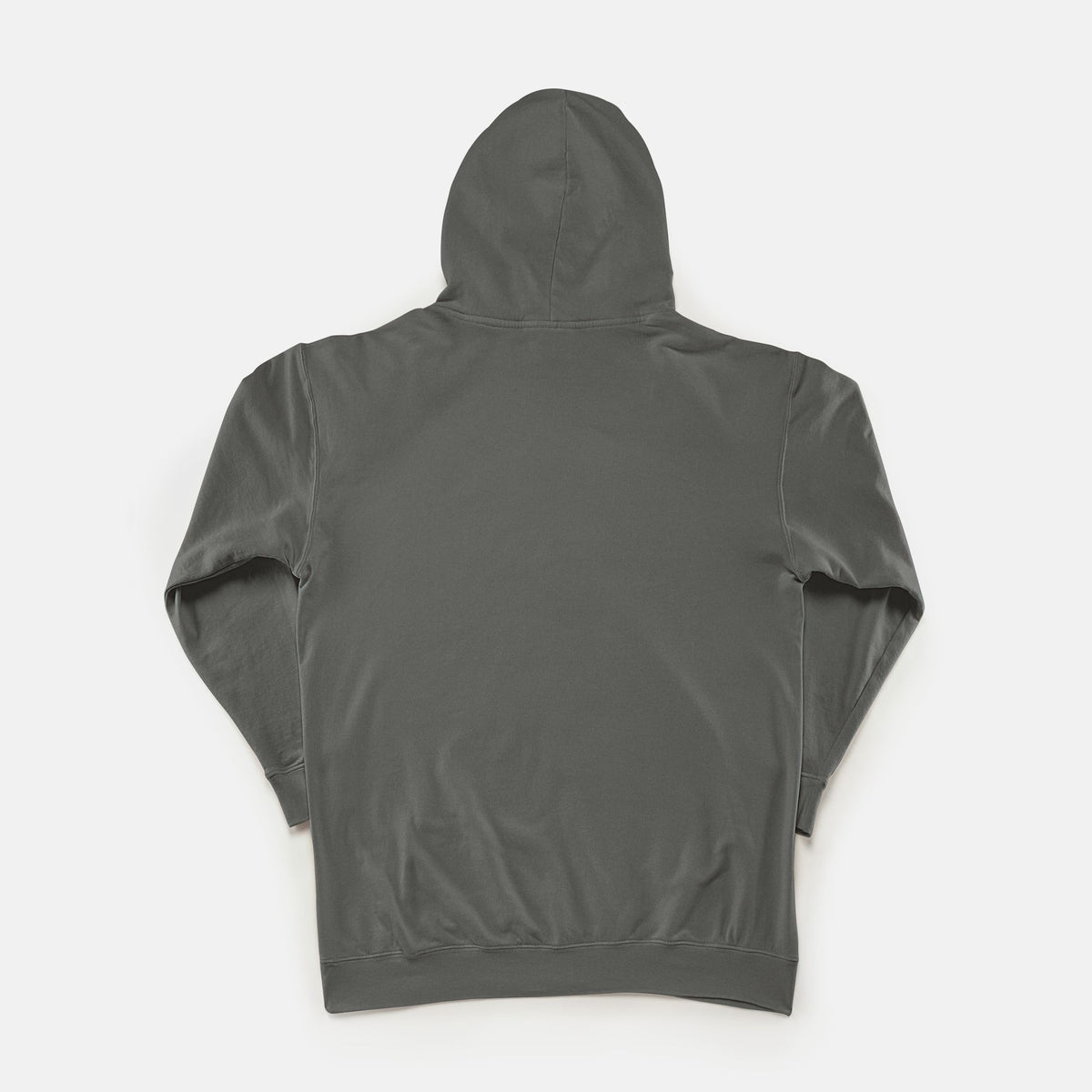 Opinion Wasn't in the Budget - Adult Lightweight Hoodie