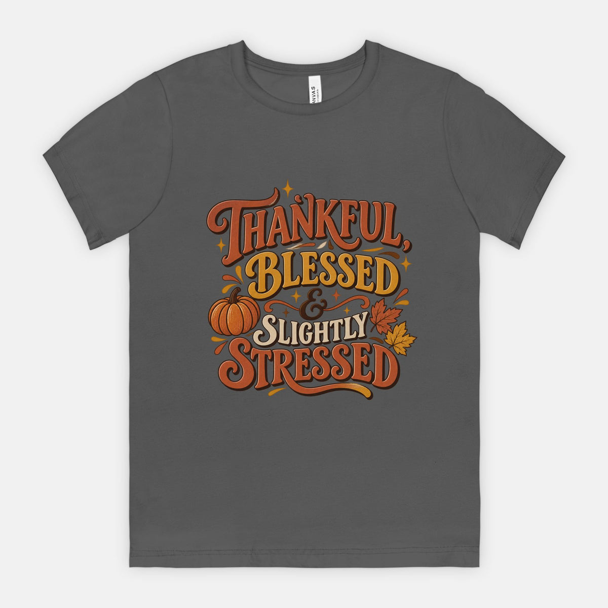 Thankful, Blessed, Slightly Stressed - Adult Tee