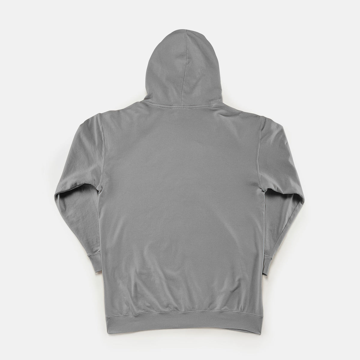 Opinion Wasn't in the Budget - Adult Lightweight Hoodie